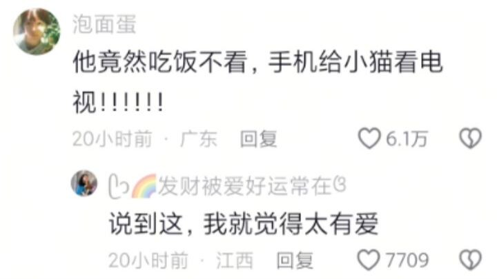 A super cute big bro who feeds himself while setting up his phone for the kitten to watch.