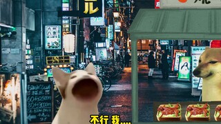 cheems 兔兔那么可爱