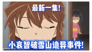 【โคนัน】ตอนล่าสุด! ฮ่าๆ ฉันได้ดูอะไรบนโลกนี้บ้าง? ทีมนักสืบหญิงห้าคนกลับมาทำธุรกิจอีกครั้ง! เสี่ยวอ้า