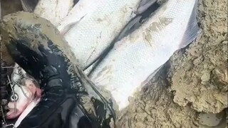 像这种鞋子要怎样才能洗干净