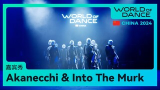 世界舞蹈大赛（WOD）中国区总决赛2024 | Akanecchi with Into The Murk嘉宾表演
