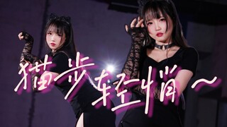 ❤ فتاة لطيفة تتحول إلى قطة❤ AOA-Cat تخطو بهدوء ◆ تعال واحصل على قطتك البرتقالية الصغيرة ~ 【Xuanmi】