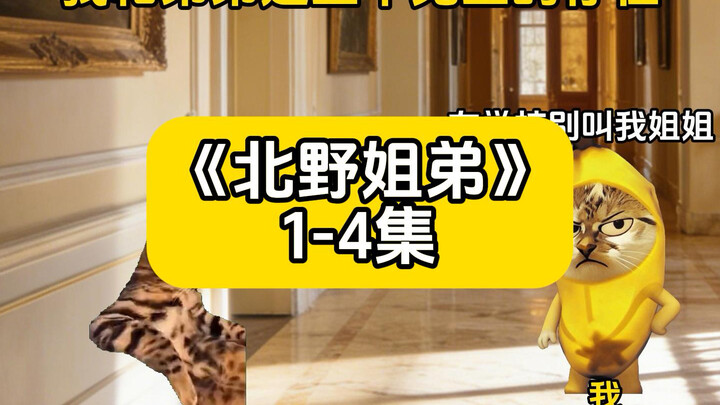 “พี่น้องเป่ยเถิง” ตอนที่ 1-4 ตอนที่ 4 เริ่มที่นาทีที่ 7:26