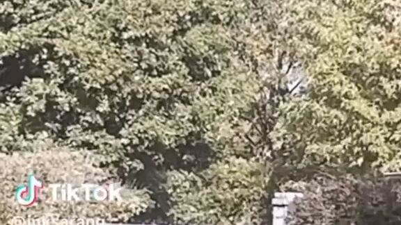 thank you for edete🥹