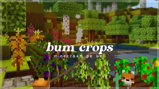 Bum Crops mcpe | aesthetic food & farming mod (Brewing update)