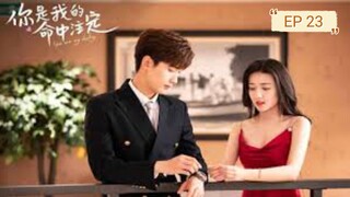 You Are My Destiny EP 23 [SUB INDO]