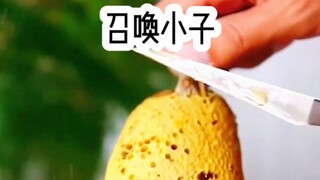 铭《召唤小子》