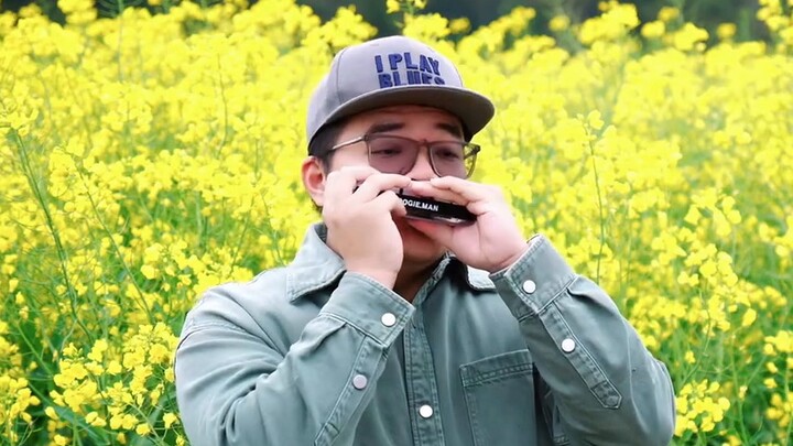 Versi harmonika kromatik dari lagu tema Dragon Ball "Secara bertahap tertarik padamu" DAN DAN 心encha