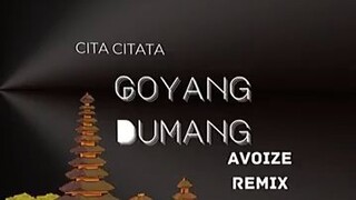 Cita Citata Goyang Dumang (Avoice Remix)