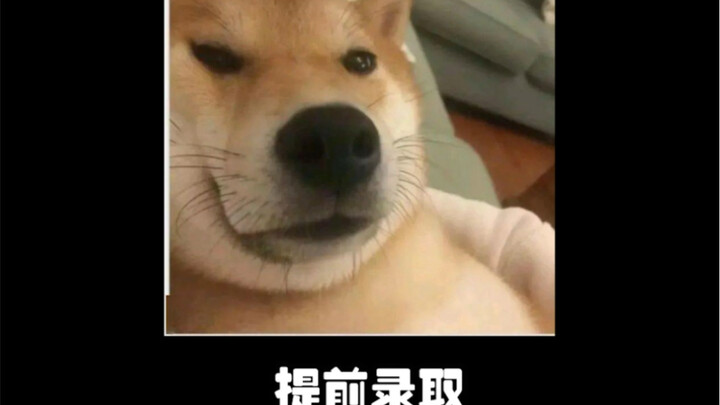 يتعلق بمستقبل أطفالك! لا بد من مشاهدة الفيديو حتى النهاية