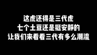 时代峰峻虎还是三代虎，突然感觉二代都好安静啊