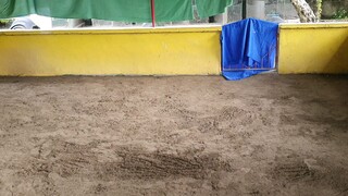 4line game farm Haskell Hatch