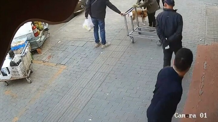 Chó con: Có đồ bẩn theo mình