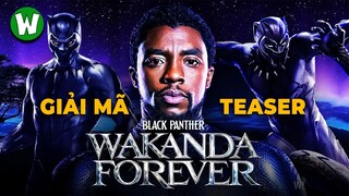 Giải Mã Teaser Trailer Black Panther: Wakanda Forever | Giả Thuyết