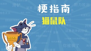 猫鼠队是什么梗【梗指南】