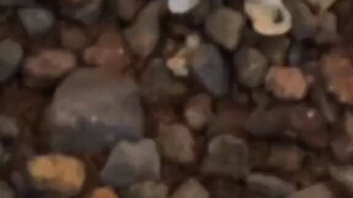 1 ngày đi làm mệt mỏi về kiểu:))