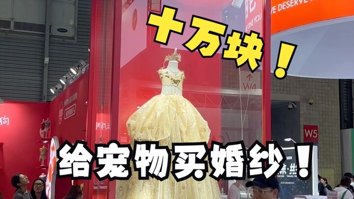 Nếu bạn có 100 nghìn, bạn có mua váy cưới cho thú cưng không?