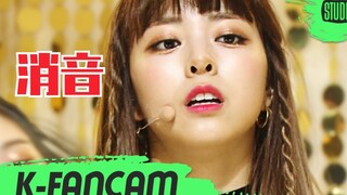场场开麦好真实！ITZY 3.13音乐银行消音现场(太努力了！)
