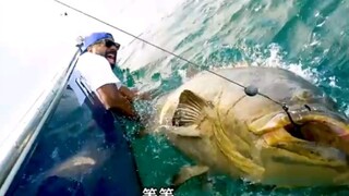 大鲨鱼被海兽杀害，小伙使出高超钓技，没曾想钓到一条稀世珍宝