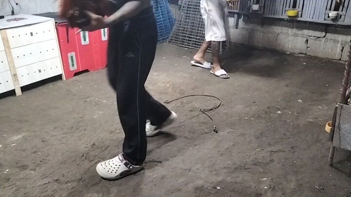 sparing