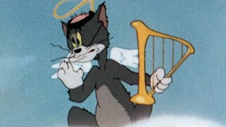 Don't catch mice in your next life.