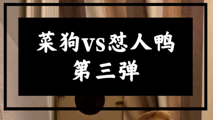 พวกคุณว่าฉันทำแบบนี้ถูกไหม?