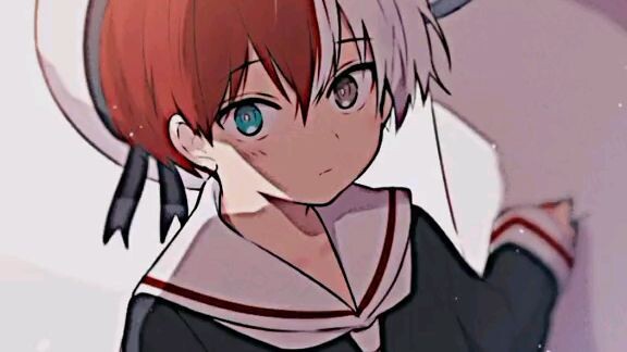 todoroki kun