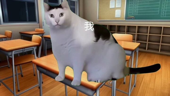 【Meme Kucing】Aku tidak tahu apakah teman sekelasku di sekolah dasar adalah laki-laki atau perempuan