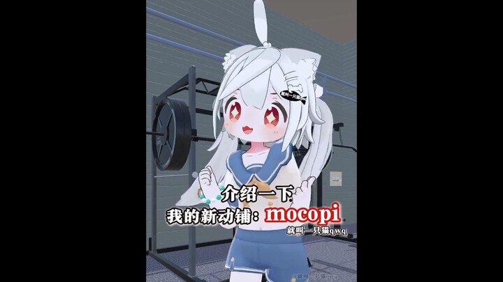 介绍一下，我的新动铺：mocopi【就叫一只猫qwq】