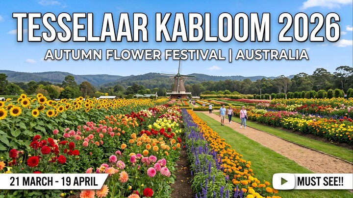 2026 Tesselaar KaBloom