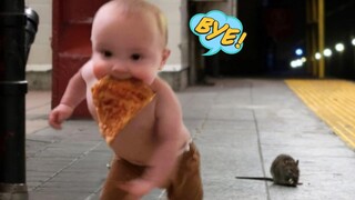 Super Cute Baby! Funny Sneaky Babies Steal Everything | Try Not To Laugh