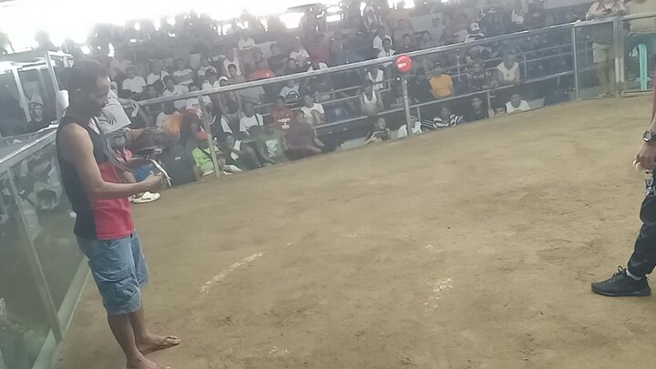 lose white tape tayo jn