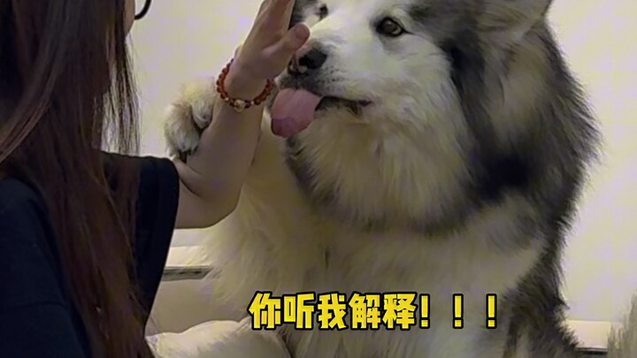 妈妈 我的牙牙都闭紧了！！