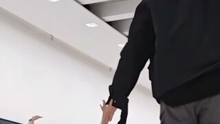 沪上tv之行为艺术