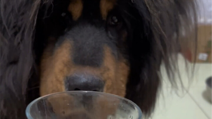 قال غاب إنه متحمّس جدًا للذهاب معي، وإنه يرغب في الذهاب معي مرة أخرى المرة القادمة.