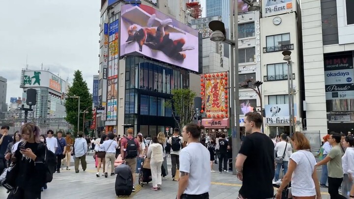 5 things you WON'T believe in Japan! 🇯🇵 (Honest Documentary)