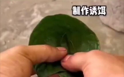 Lychee Chicken with a Really Branch-Like Texture