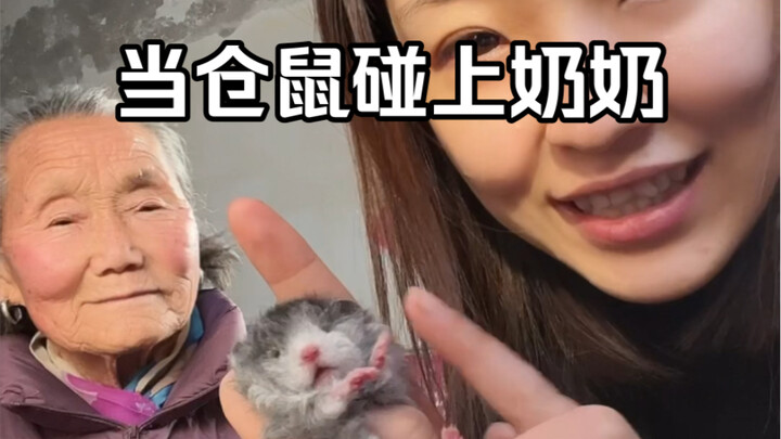 Ketika hamster bertemu nenek berusia 87 tahun…