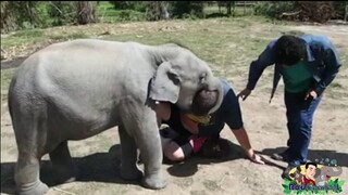 หนูน้อยจอมซน🤣😂😅🥰🥰🥰🐘🐘🐘