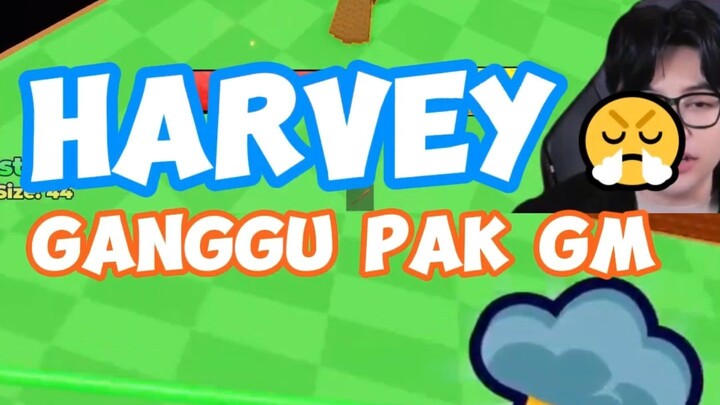 PAK GM DIGANGGU MEMBER LOH YA