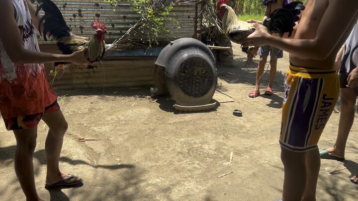 hiraw dto lang yan sa AR backyard Gf