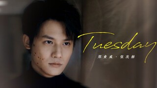 只要看了剧，就很难不被张冼赫蛊死 | 77秒不心动挑战 | 郑业成