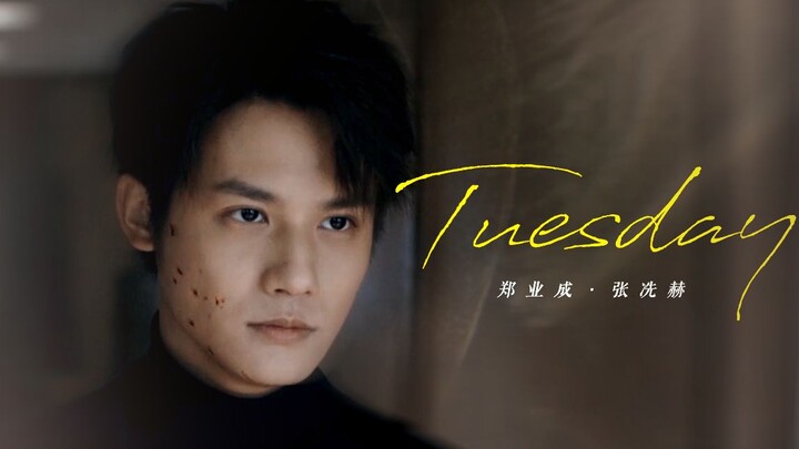 只要看了剧，就很难不被张冼赫蛊死 | 77秒不心动挑战 | 郑业成