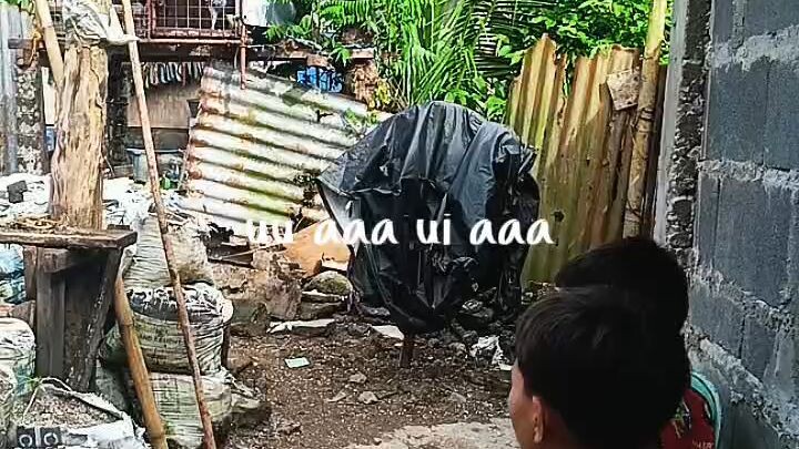 dipa nakauwi ibon natin nag camalig albay