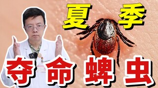 Kutu mematikan musim panas, pastikan Anda melindungi diri sebelum keluar rumah!