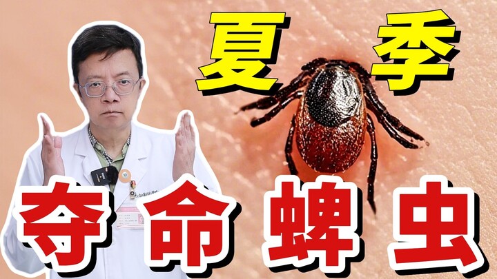 Bọ ve mùa hè nguy hiểm chết người, ra ngoài nhất định phải phòng hộ cẩn thận!