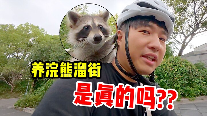 First thing the raccoon does when it comes home: rummaging through the toilet… and the trash can!