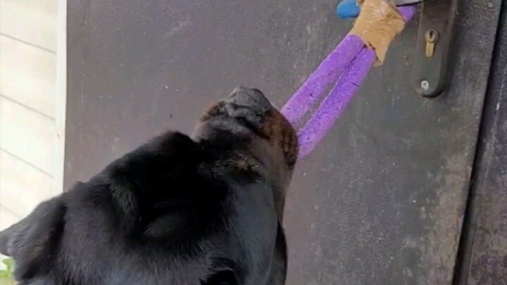 Творческий процесс