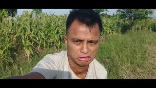 Ngintip M4nd! | Komedi Ilmu rasa ketek | pak Budi bego live lucu bikin ngakak 🔥‼️