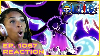 AND THE WINNERS ARE!!!! | ONE PIECE EPISODE 1067 REACTION